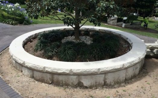 Circular stone planter with a tree and green ground cover.