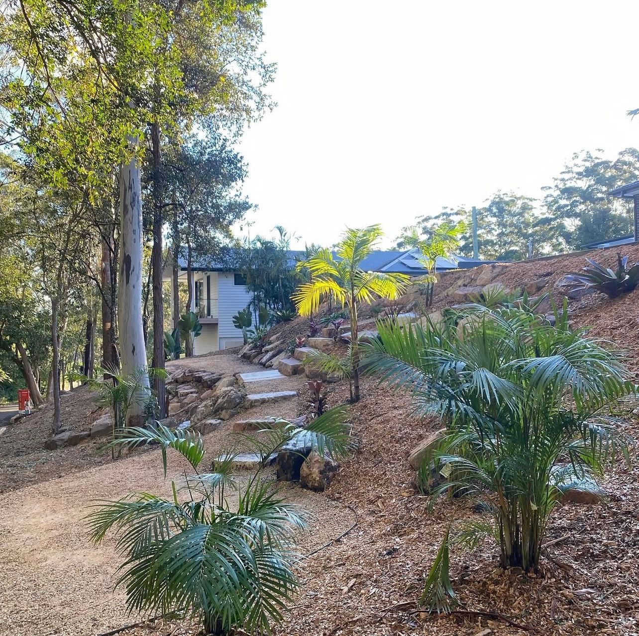 A garden path with stone steps, lush plants, and a house in the background.
