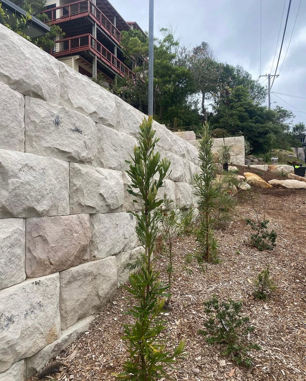 Stone retaining wall with young trees planted in front.