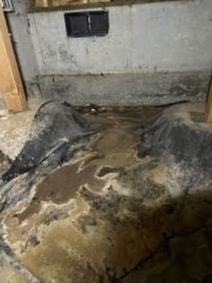 Damp basement corner with moldy wall, stained concrete floor, and two covered mounds.