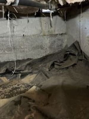Damp crawlspace with torn insulation, exposed pipes, and debris on the floor