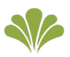 Una foglia verde con un contorno bianco su uno sfondo bianco.