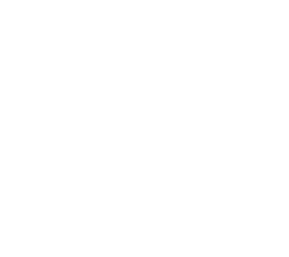 Fabbrica Materassi Romanina logo