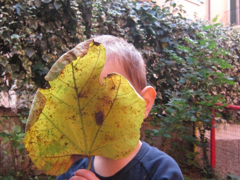 Attività per bambini all'aperto