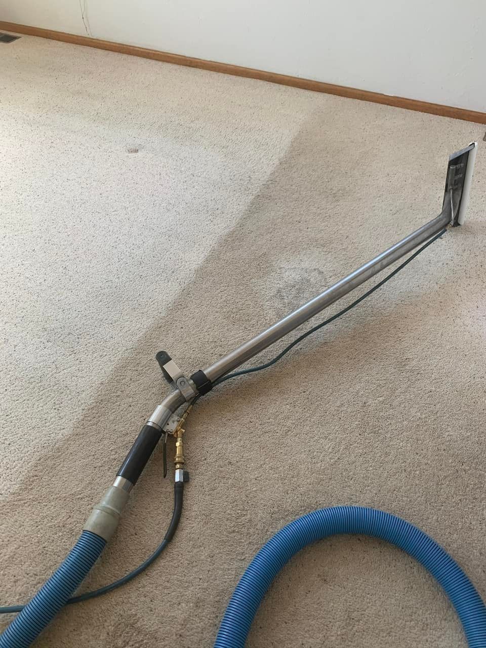 Carpet cleaning wand and blue hose on beige carpet, with a cleaned strip visible.