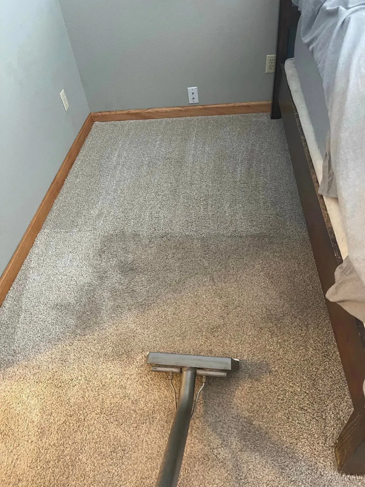 Carpeted bedroom floor being vacuumed with a vacuum cleaner head visible at the bottom.