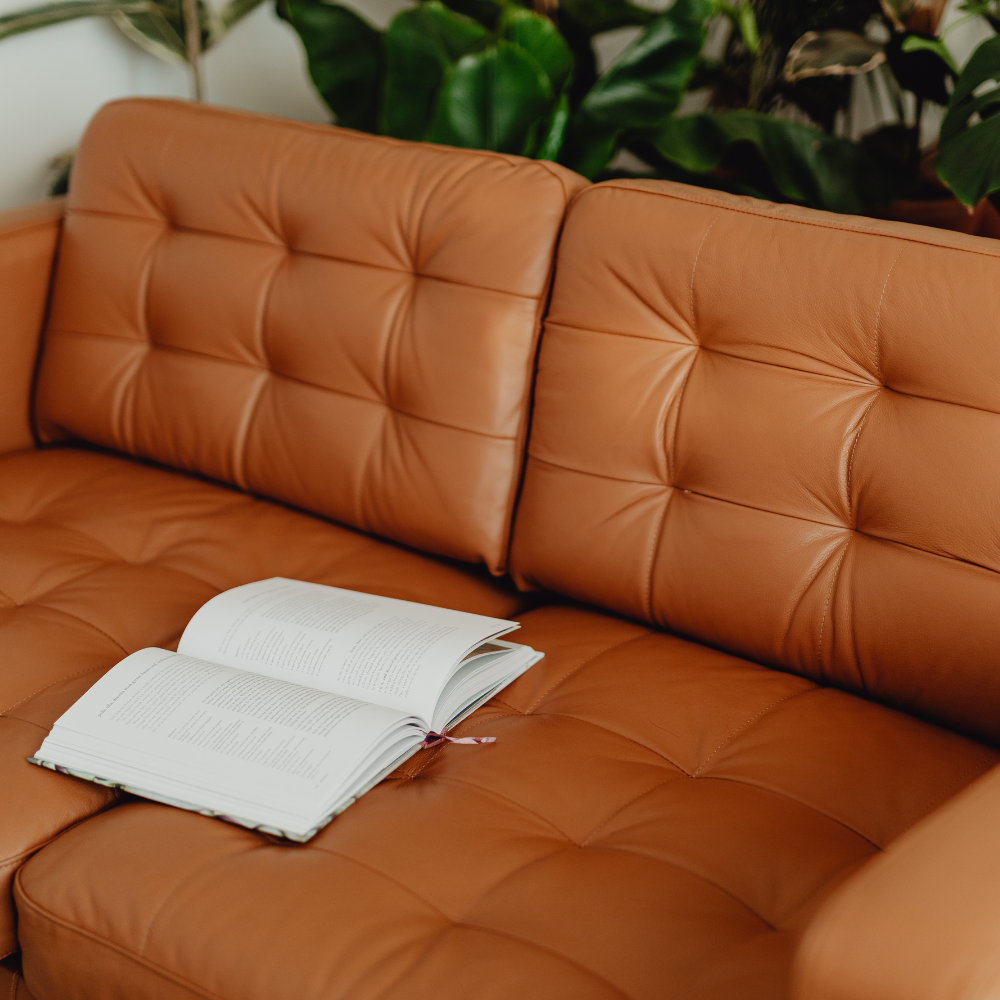 An open book lies on a tufted tan leather sofa with green indoor plants in the background.