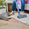 A person in blue jeans vacuums a rug while a gray cat lies on the nearby wood floor.