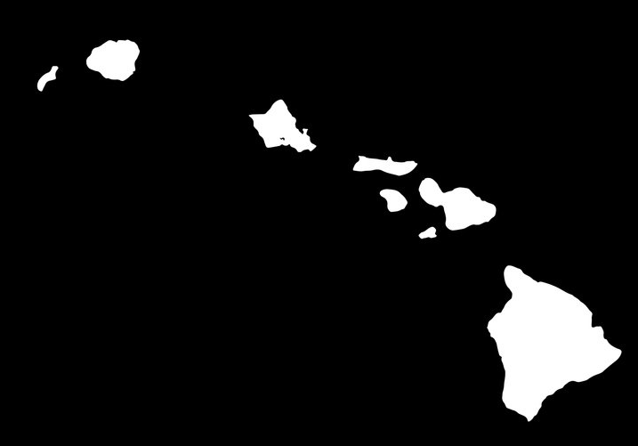 Affordable Digital Marketing Solutions For Hawaii Black Owned Businesses