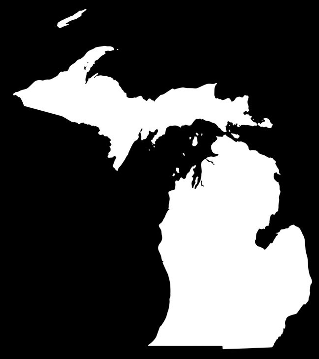 Affordable Digital Marketing Solutions For Michigan Black Owned Businesses