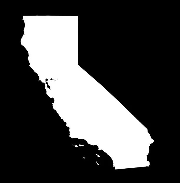 Affordable Digital Marketing Solutions For California Black Owned Businesses