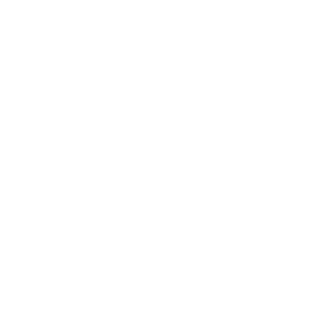 Affordable Digital Marketing Solutions For Black Chiropractors