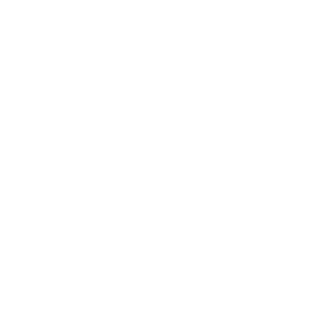 Affordable Digital Marketing Solutions For Black Owned Veterinarian Clinics