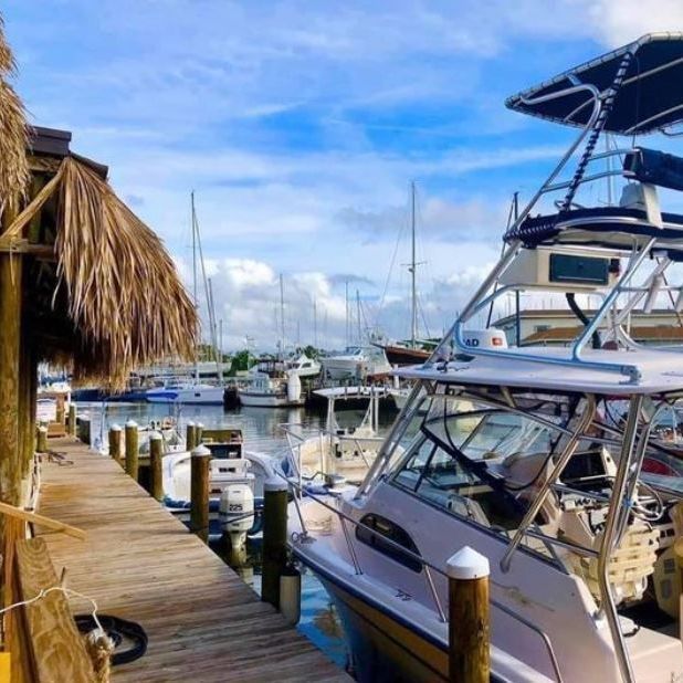 Wahoo fish cooked with tomatoes and onions