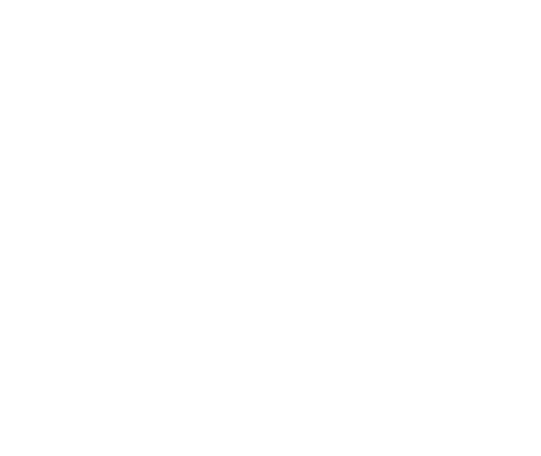 Big Catch Header Logo