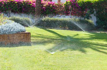 Sprinkler in garden watering the lawn.