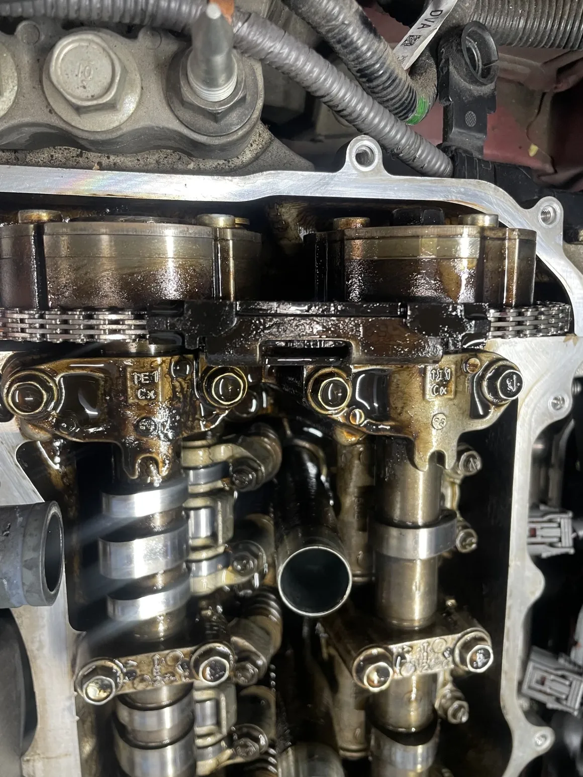 Engine's camshafts and timing chain, covered in oil. Close-up, mechanical setting. | Equality Automotive