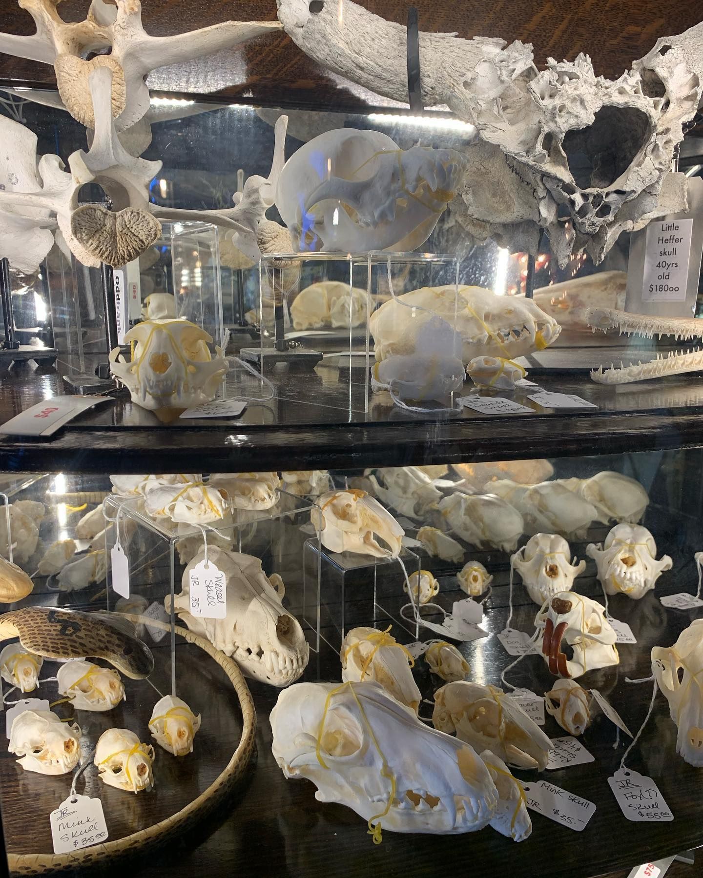 Montebello Road Unique Offerings