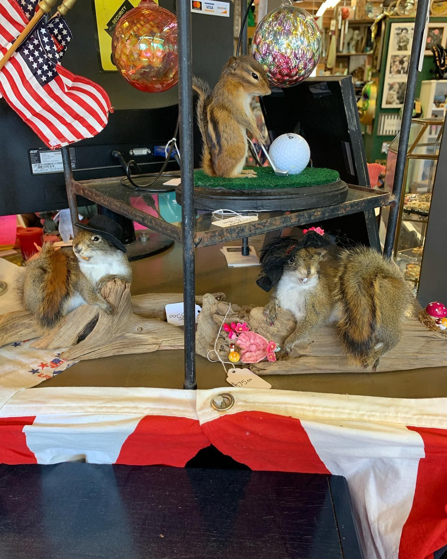 Montebello Road Unique Offerings