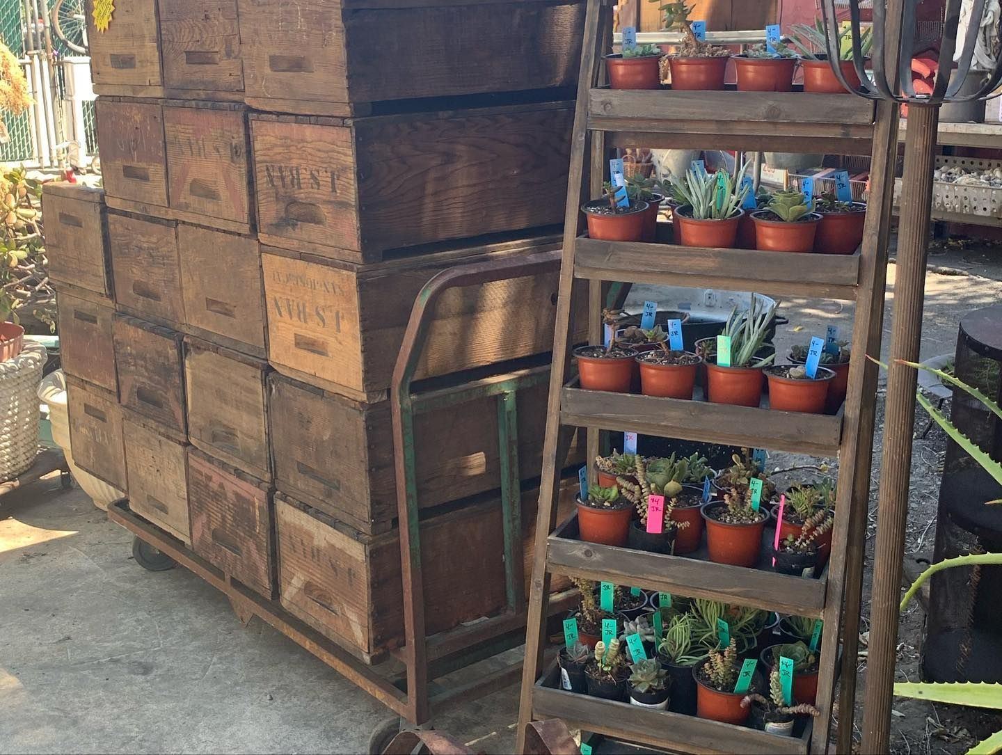 Montebello Road Unique Offerings