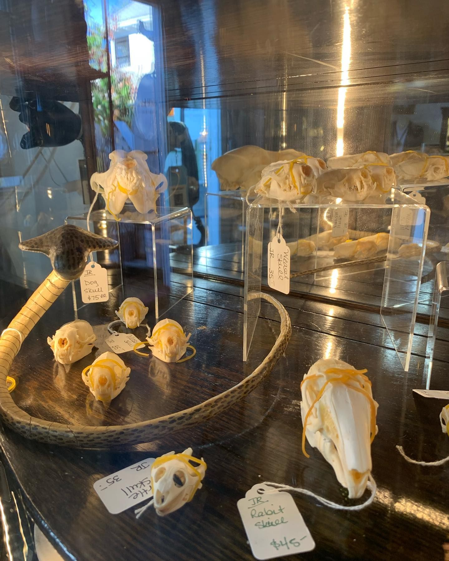 Montebello Road Unique Offerings