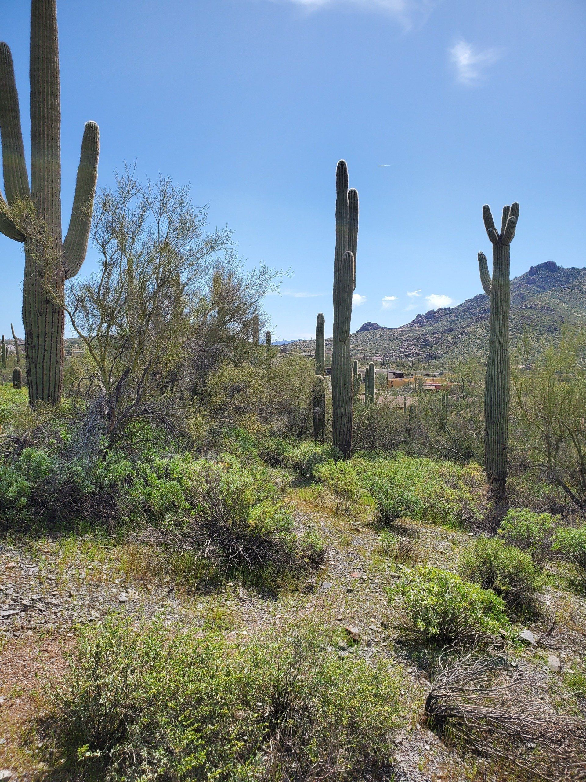 Beautiful tropical beach front hotel resort — Yorkville, IL — Travel Services of Yorkville