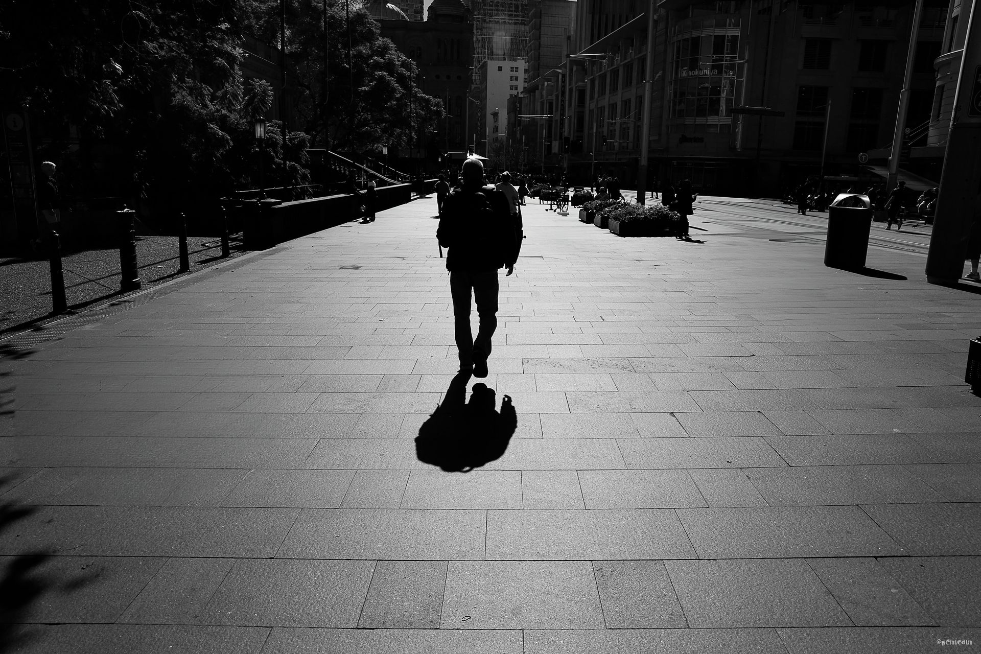 A person walking on a sunlit street, casting a long shadow. Buildings line the sides.