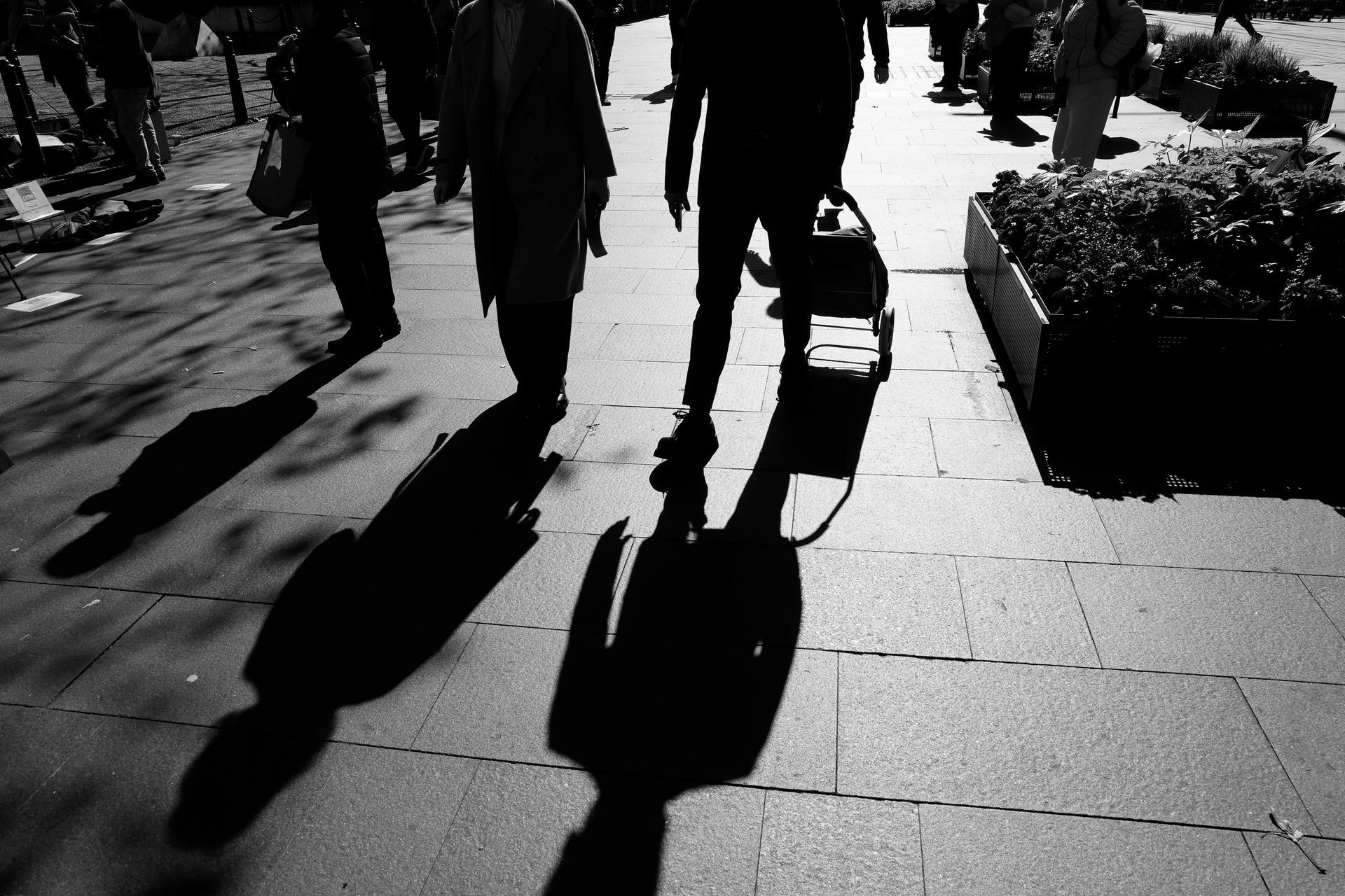 People walking on a sidewalk, casting long shadows in black and white.