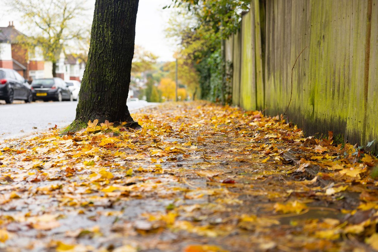 A residential sidewalk covered in wet autumn leaves creates a common slip and fall hazard,