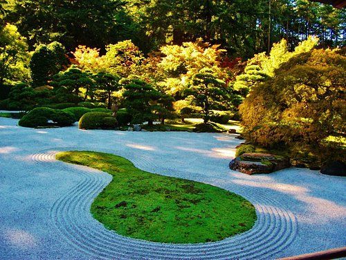 A garden with a circle of grass in the middle of it