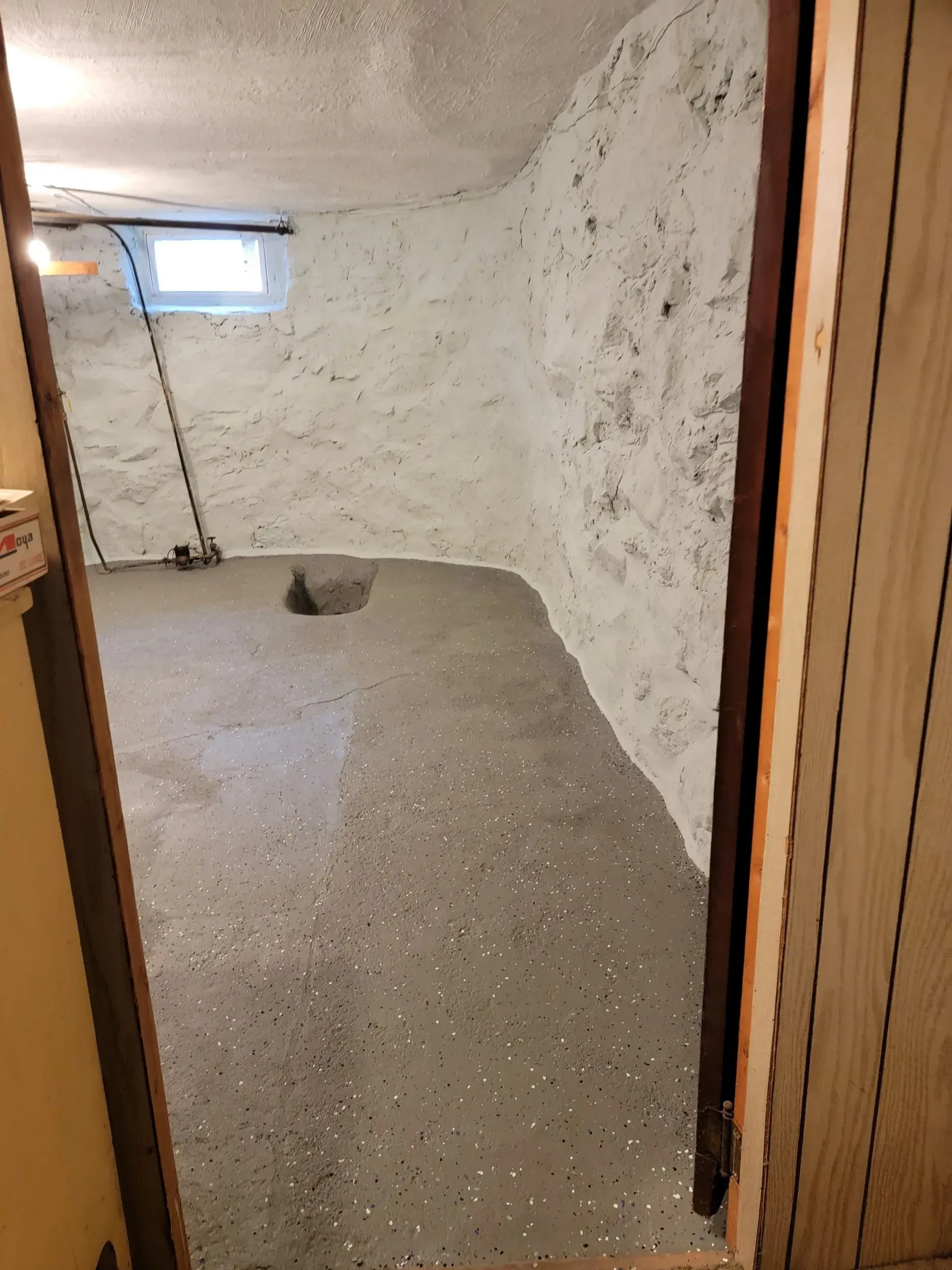 Basement with light gray speckled floor and white textured walls, viewed through a wooden doorway.