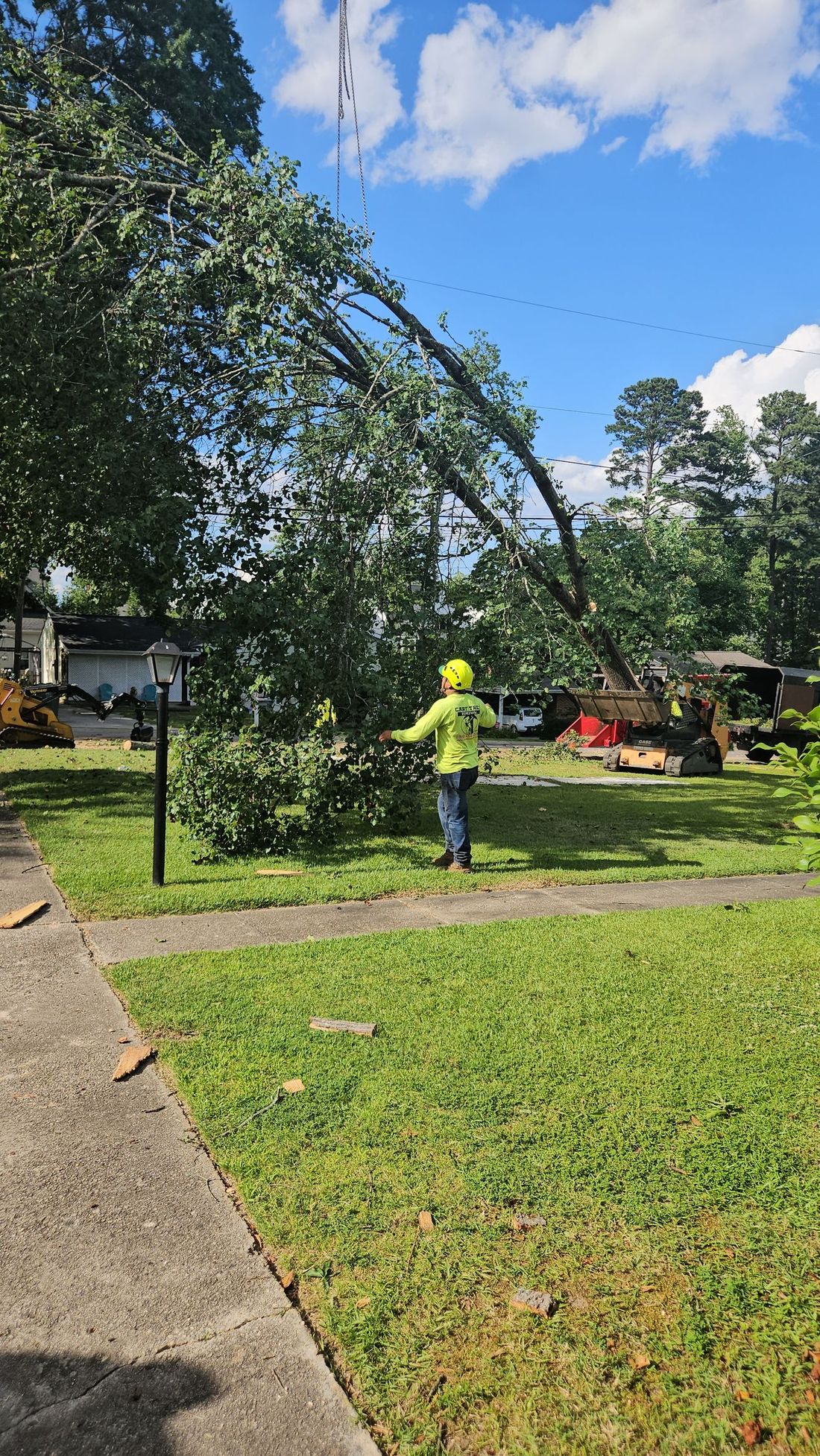 A man is standing next to a fallen tree in a yard.