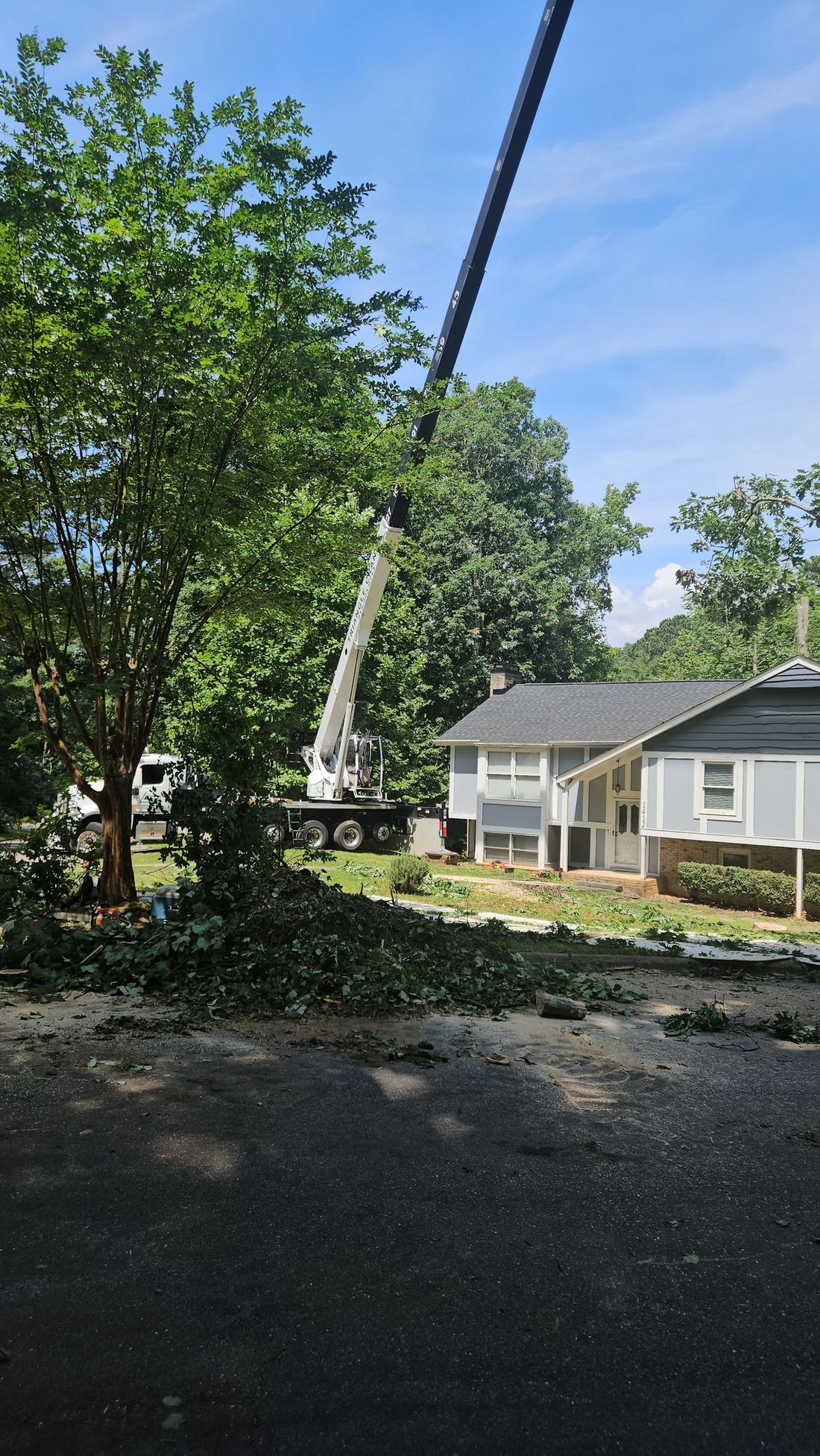 A crane is cutting a tree in front of a house.