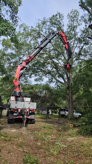 A crane is lifting a tree in a yard.