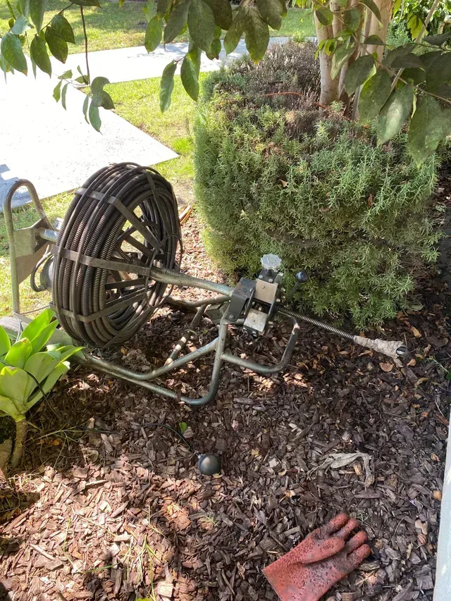 A Drain Cleaner Is Sitting on The Ground Next to A Tree.