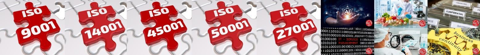 In the dynamic and competitive landscape of today's business world, organizations strive to achieve excellence in various facets of their operations. One crucial aspect is the implementation of internationally recognized standards that ensure the quality, safety, and efficiency of business processes. CCS stands as a strategic partner in supporting businesses on their journey towards excellence by providing consultancy and certification for a range of ISO standards. These standards cover diverse areas such as quality management, environmental sustainability, health and safety, energy management, information security, privacy, IT service management, business continuity, medical devices management, and food safety.
Incorporating these ISO standards into the organizational framework not only enhances operational efficiency but also positions businesses as responsible, forward-thinking entities. CCS stands ready to support organizations in their implementation journey, contributing to their success and sustainability in a global marketplace.