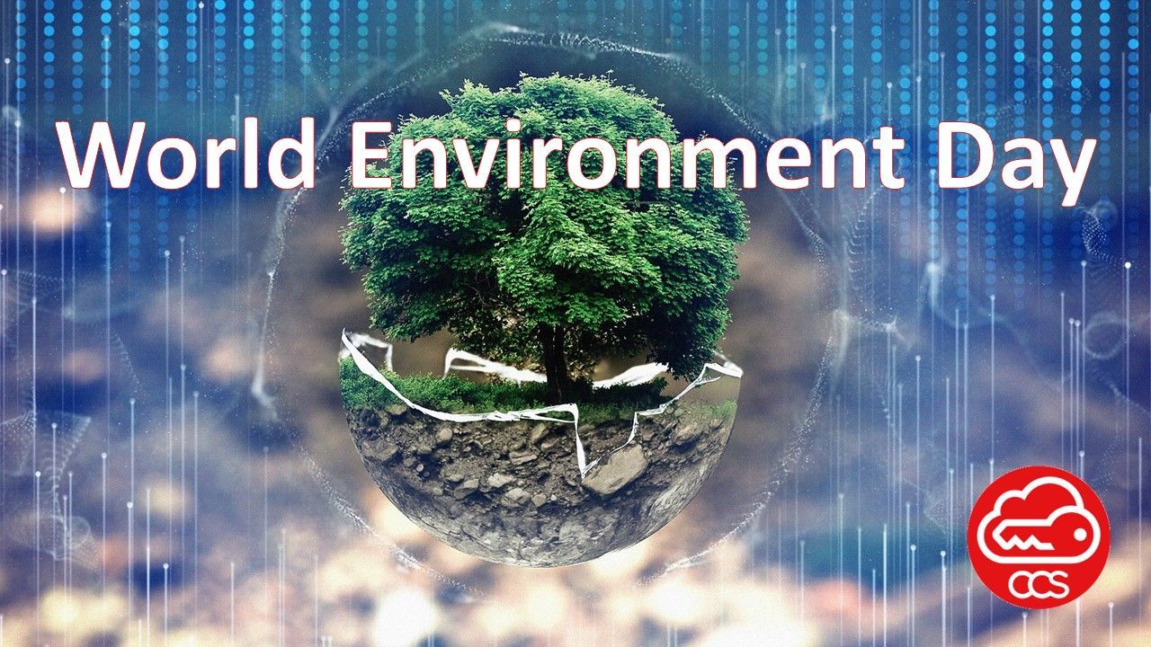 ISO 14001 Environmental Management System (EMS)
ISO 14001 aligns environmental sustainability with operational efficiency, regulatory compliance, competitive advantage, cost savings, stakeholder trust, and risk management. Implementing this standard allows your business to demonstrate a commitment to the environment, drive positive change, and position itself as a responsible and forward-thinking organization.