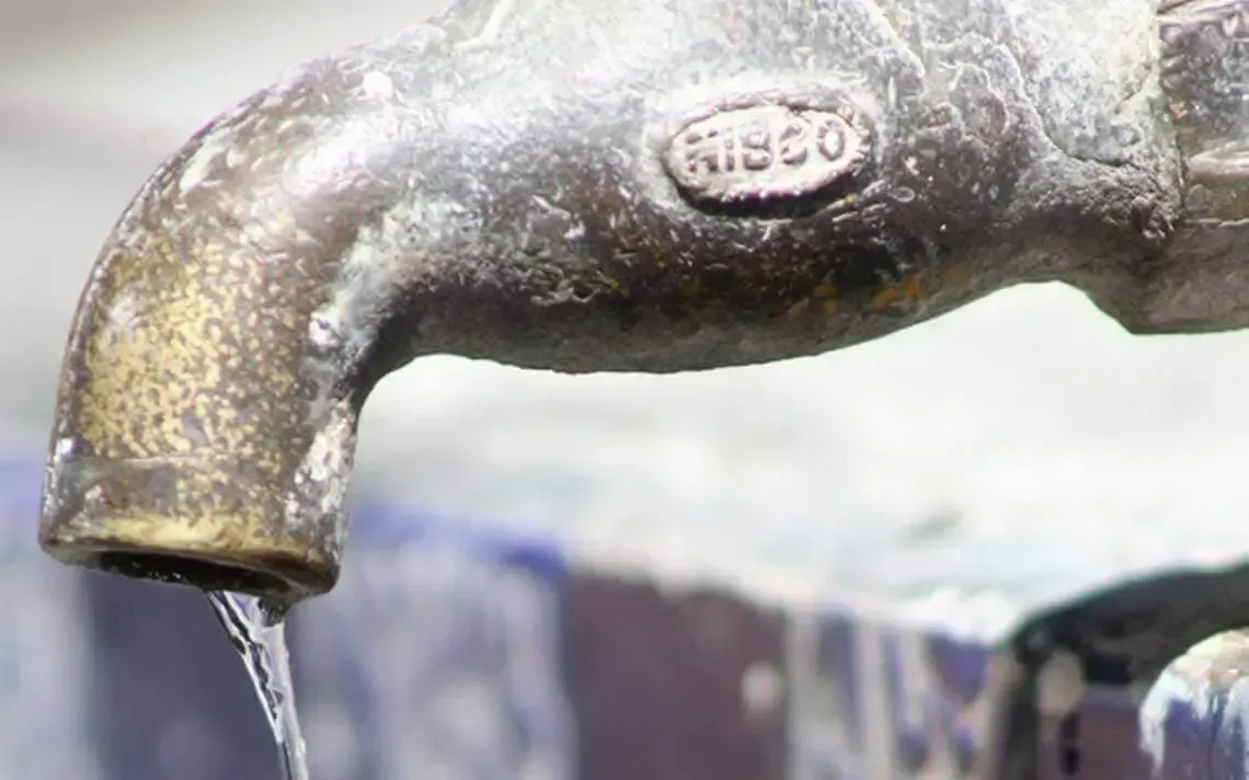 PIPAS ALIANZA TORRES