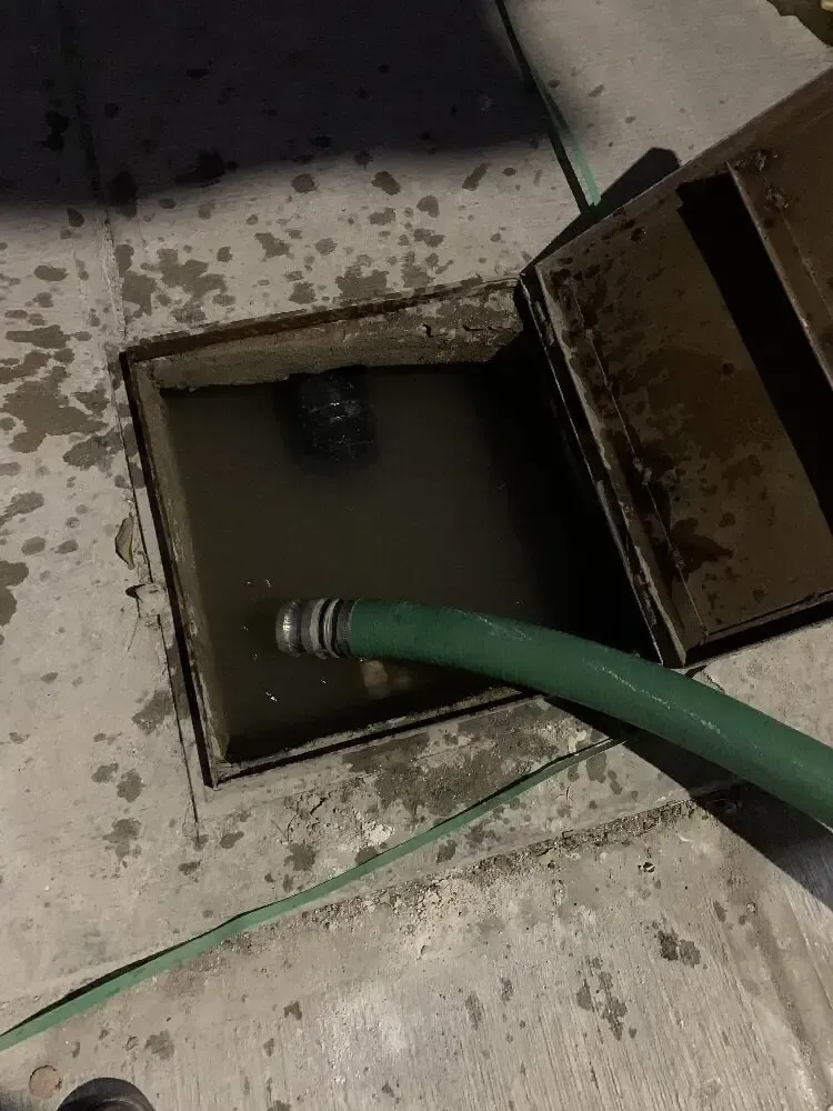 PIPAS ALIANZA TORRES