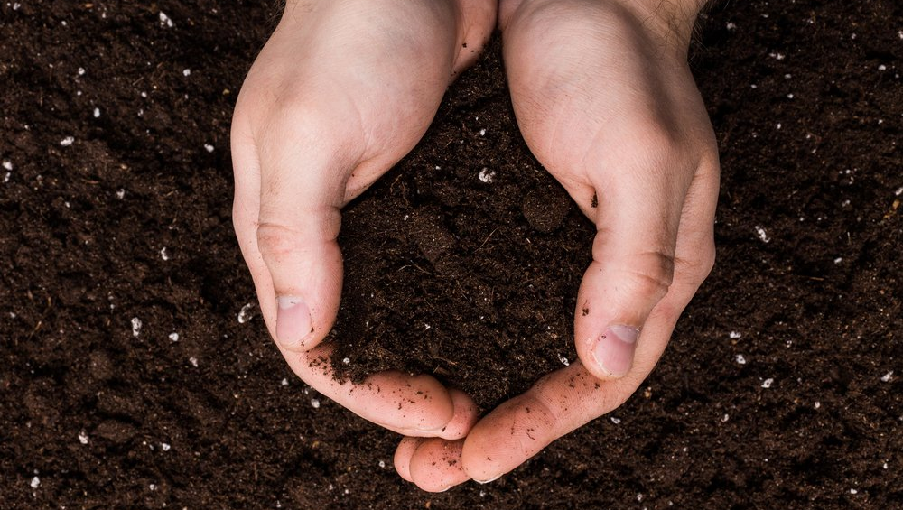 Hands holding soil