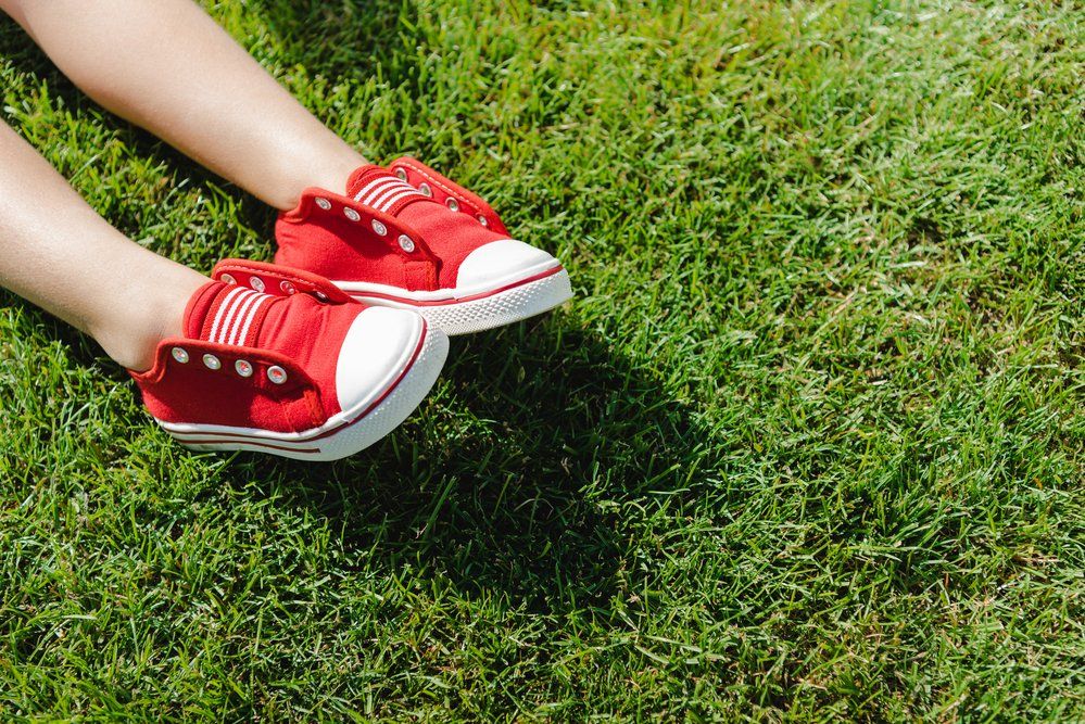 Red shoes laying in the sun on lush green lawn