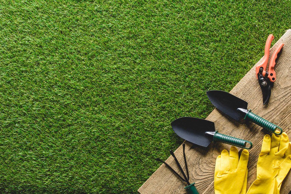 Lawn care tools on bench over grass