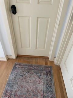 White door with black handle and decorative rug on wooden floor.