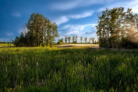 Golfer putts on green under a rainbow; suburban homes in background.