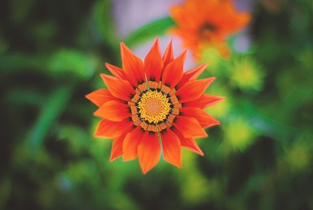 direct cremation Milwaukee WI