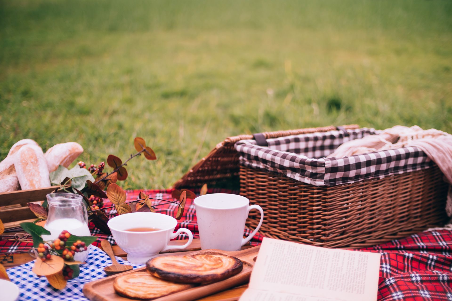 A picnic basket, two cups, and bread on a red checkered blanket spread across a grassy field.