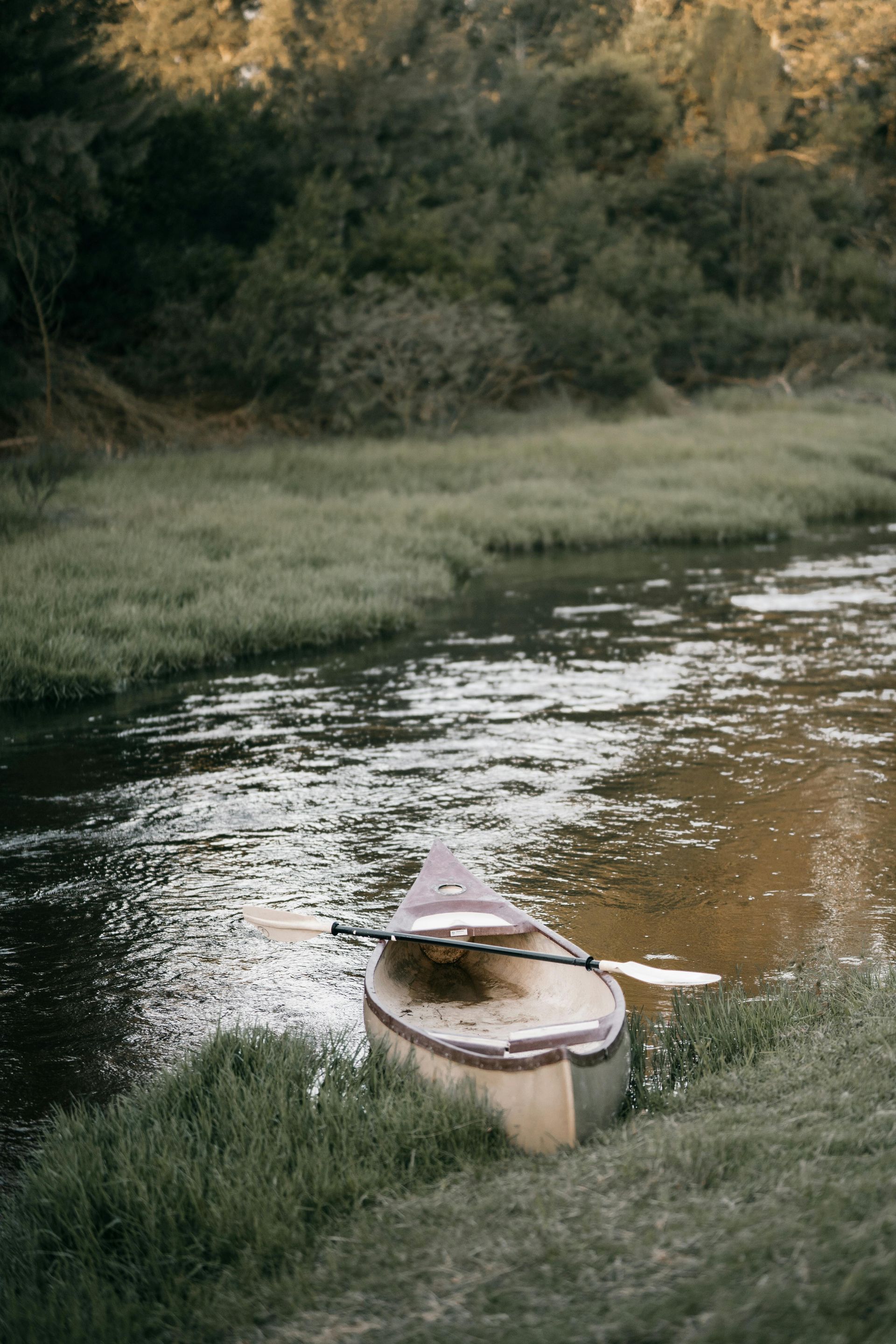 A wooden canoe with a paddle resting across it sits on the grassy bank of a flowing stream near a forest.