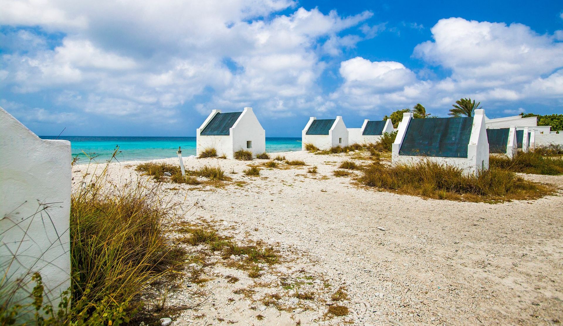 A row of white houses on a sandy beach near the ocean in Bonaire