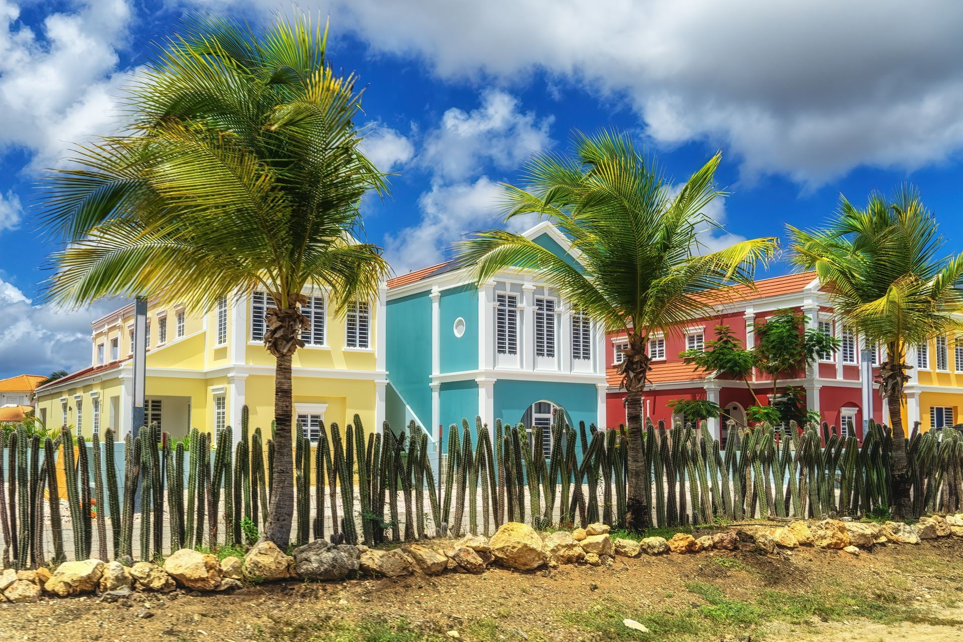 Discover the Hidden Gems of Bonaire with Corallium Hotel & Villas