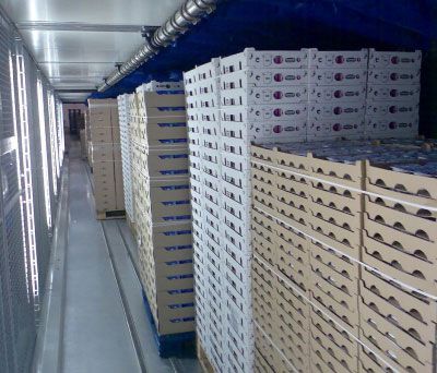 REFRIGERACION JASSO -  Reparación de equipos de refrigeración